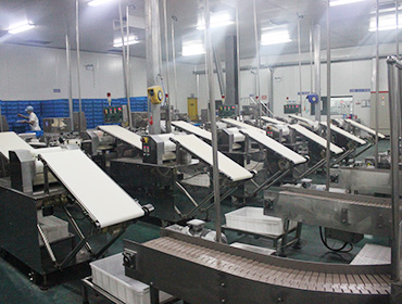 Diaphragm production line